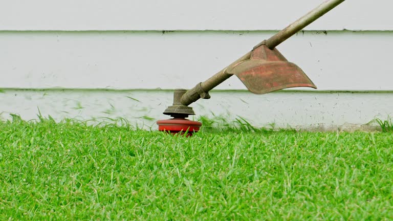 Landscape Design and Installation in Loyal, WI